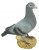 Pigeon Figurine