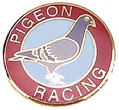 Premier Round Pigeon Badge