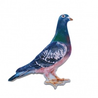 Pigeon 3D Fridge Magnet