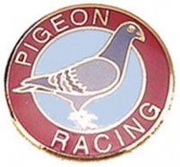 Premier Round Pigeon Badge