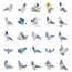 Pigeon Stickers - Pack of 50 Assorted Designs