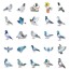Pigeon Stickers - Pack of 50 Assorted