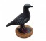 Stick Anywhere Flexx Pigeon Figurine