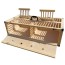Two Compartment Bruges 2022 Plywood 32'' x 16'' Training Crate - PRE-ORDER