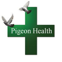 Pigeon Health
