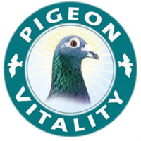 Pigeon-Vitality