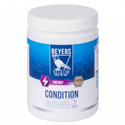 Beyers Condition 600g - Expiry 18.03.2023