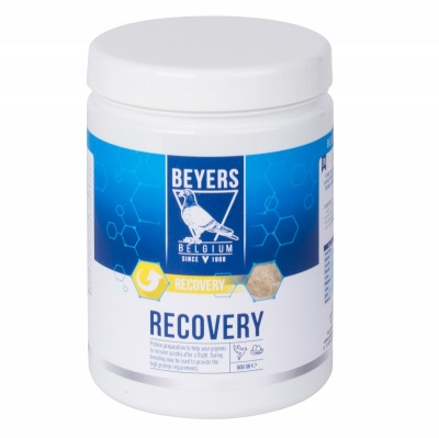 Beyers Recovery 600g