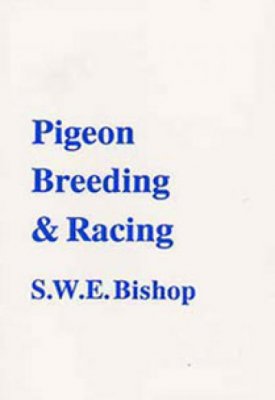 Pigeon Breeding & Racing [Book]