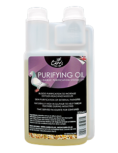 Carr's Purifying Oil Garlic