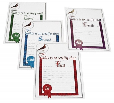 Ultimate Diplomas - Set of 1st, 2nd, 3rd and 4th