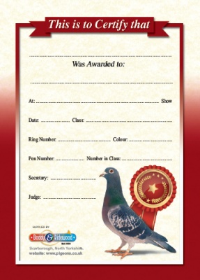 Show Award Card - 'Blank' - NEW DESIGN