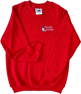Red Sweatshirt (7-8 years)