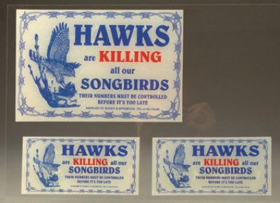 Hawks Are Killing Our Songbirds Sticker - Pack of 3 - SPECIAL PROMOTION OFFER