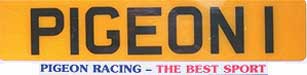 Car Number Plate Holder