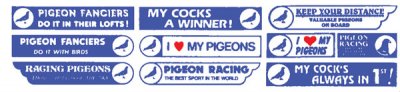 Car & Window Pigeon Stickers