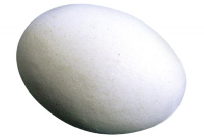 Ceramic White Dummy Pigeon Pot Egg