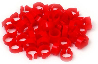 Economy Clip Rings (Large 8mm) - Pack of 50