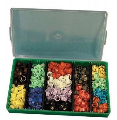 Pigeon Ring Box Set