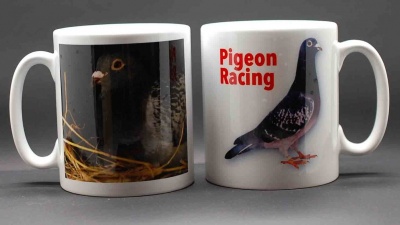 MUG - Picture of bird on nest / Pigeon