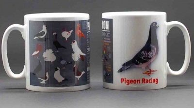 MUG - Fancy Pigeons & Info / Pigeon