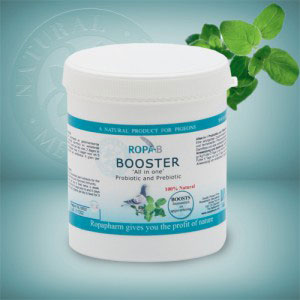 Ropa-B BOOSTER 'All in One' Probiotic & Prebiotic 300g
