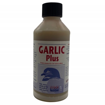 Stock Nutrition Garlic Plus 250ml - Expiry Date Dec 2021