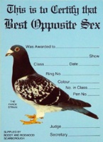 Show Award Card - Best Opposite Sex