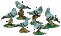 Pigeon Figurines