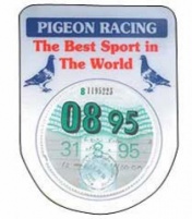 Car Tax Disk Holder