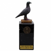 Pigeon on Real Marble Base 7'' (18cm)