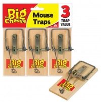 Budget Mouse Traps - Pack of 3